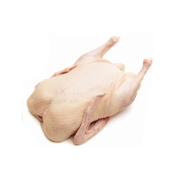 DUCK (THI) 1.6KG/1.7KG/1.8KG (Copy)