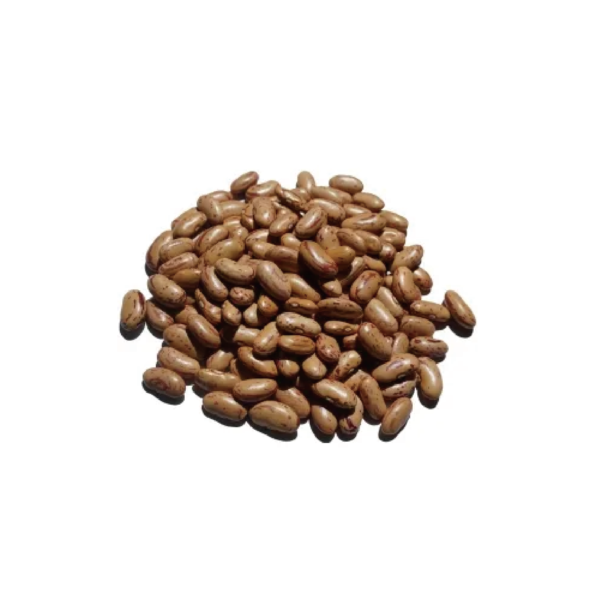 PINTO BEANS